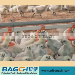 Automatic Complete Poultry Drinker Feeder Equipment thumbnail-3