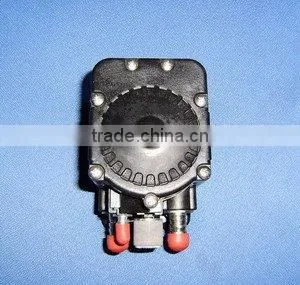 PUMP thumbnail-1