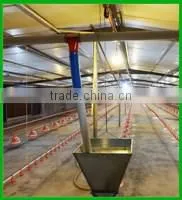 Huabang Poultry Chicken Equipment,automatic Chicken | Broiler Feeder thumbnail-5
