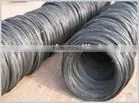 Black Wire thumbnail-1