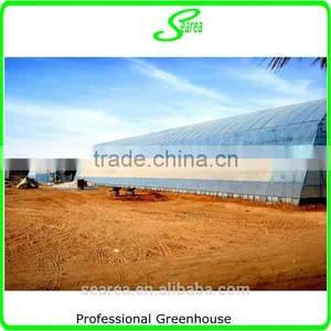 Plastic Arch Greenhouse for Sale From Big Greenhouse Manufacturer in China thumbnail-4
