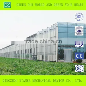 Easily Assembled Agricultural Greenhouse thumbnail-1