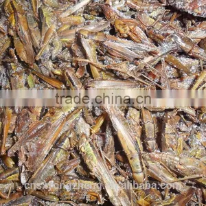 Pet Food Fish Food Freeze Dried Crickets thumbnail-3
