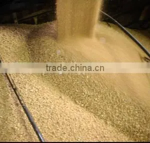 Fermented Soybean Meal thumbnail-1