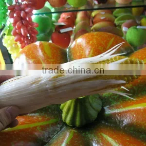 NEW DESIGN 2011 Hot Selling Natural Popular Vegetable Decoration Painting thumbnail-1