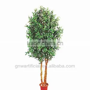 GNW G75 Nurseries Plants and Trees Hot Sale in China 2014 Artificial Home Plastic Plant thumbnail-1
