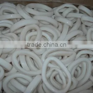 Frozen Squid Ring-Todarodes Pacificus thumbnail-2