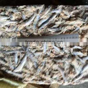 Fresh Frozen Small Anchovy thumbnail-4
