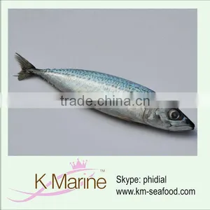 Frozen Seafood and Fish Frozen Mackerel thumbnail-1