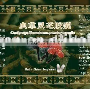 Herbal Ganoderma and Cordyceps Capsule,food Supplements Capsule thumbnail-1