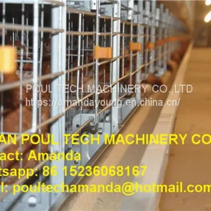 South Africa Chicken Farming Full Automatic H Frame Layer Cage & Chicken Cage & Hen Coop & Laying Hen Cage in Poultry House & Chicken Shed thumbnail-1