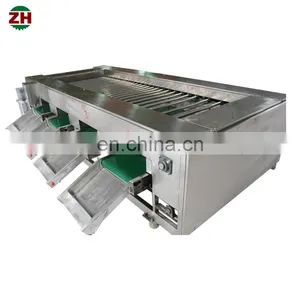 Roller-type Fruit Sorter Longan Fruit Sorting Machine Onion Vegetable Sorting Machine Potato Sorter thumbnail-2