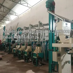 30TPD Corn Flour Machine,corn Milling Machine,maize Mill thumbnail-2