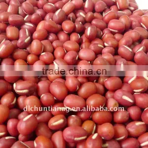 Small Red Bean/adzuki Bean (organic ) thumbnail-1