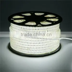 Led Flexible Strip Light 24v Led Strip Rgb 3014 Waterproof Lighting Led Rgb Led Strip thumbnail-5