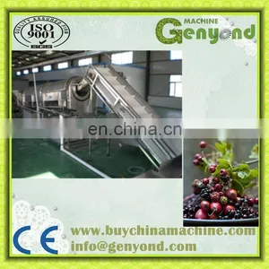 Complete Strawberry Jam Production Line / Strawberry Jam Production Plant thumbnail-3