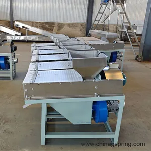 Industrial Dry Peeler Machine Nuts Peeling Machine Automatic Nuts Peanut Skin Removing Machine for Food Processing thumbnail-3