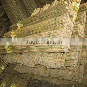 Bamboo Pole thumbnail-1