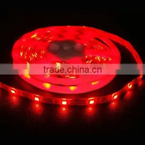 12V Smd3528 Led String Lighting thumbnail-1