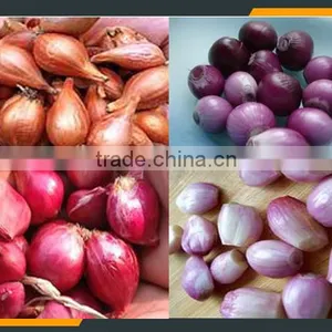 "onion Barking Machine " thumbnail-3