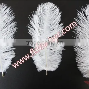 Wholesale Cheap DIY Multicolor Craft Small White Ostrich Feather 15cm to 20cm For Wedding Decorations thumbnail-4