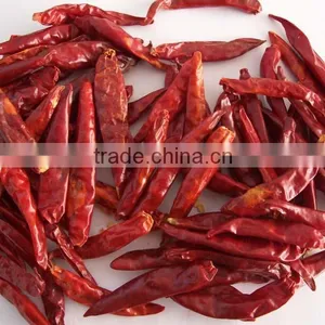 China New Crops,dry Hot Red Chaotian Tianying Tianjin Chilli thumbnail-6