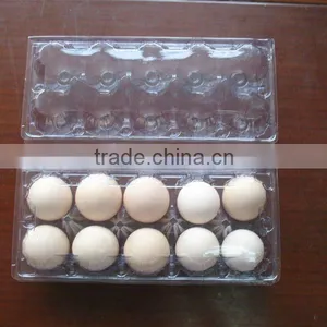 PLC Control Vacuum Forming Machine With Touch Screen thumbnail-3