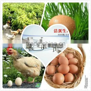 Superior Quality Stainless Cleaning Grading Machine for Egg Farmers thumbnail-1
