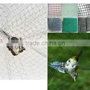 Plastic Anti Bird Netting thumbnail-1