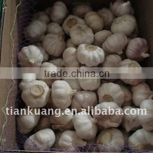 China Export Garlic thumbnail-1