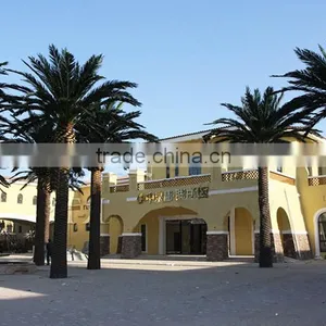 Bus Station Landscaping Big Artificial Palm Tree thumbnail-2