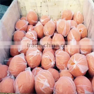 Concrete Pump Accessories Pump Cleaning Ball Cleaning Ball thumbnail-6