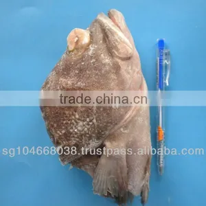 FROZEN GROUPER HEAD thumbnail-1