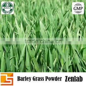Best Selling Natural Green Barley Grass Powder thumbnail-1