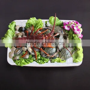 Clear White Black Plastic Tray thumbnail-1