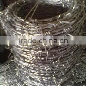 Hot Dipped Galvanized Barbed Iron Wires for Sale thumbnail-1