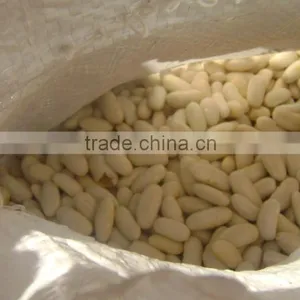White Kidney Beans thumbnail-2