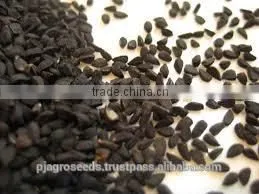 Pure Onion Seeds thumbnail-5