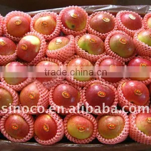 Red Fresh Apple Gala For New Crop thumbnail-1