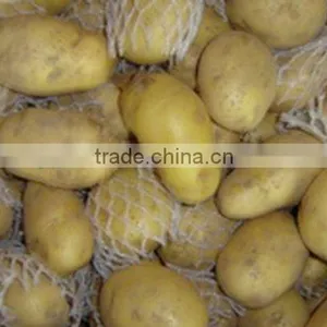 Chinese Fresh Potato in High Quality and Deep Processing thumbnail-1