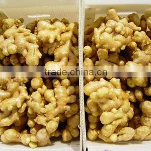 Laiwu Fresh Chinese Ginger for Hot Selling thumbnail-3
