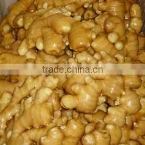 2012 Yellow Big Fresh Ginger thumbnail-1