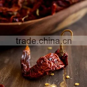 Chilly Powder Red thumbnail-5