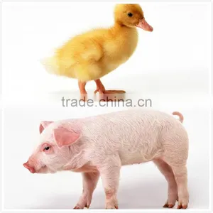 Modified(water-soluble) Soya Lecithin for Feed thumbnail-3