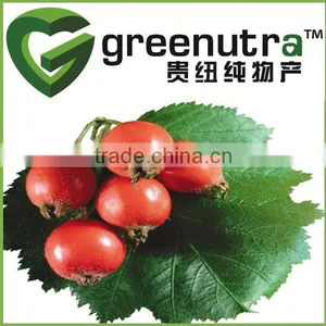 Rose Hips Extract Flavone thumbnail-1