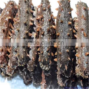 Liquid Nitrogen Fast Freeze Machine for Freezing Sea Cucumber thumbnail-3