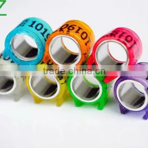 2015 Rings for Birds Pigeon thumbnail-1