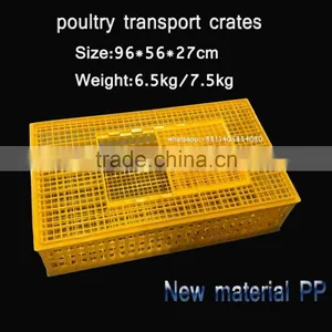 Plastic Foldable Transport Basket for Pigeon thumbnail-1