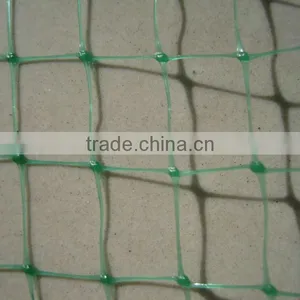 Plant Support Netting for Climbing Varieties thumbnail-6
