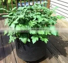Nonwoven Fabric Raised Bed for Flowers (1 Gal to 1200 Gal) OEM Smart Pots thumbnail-6